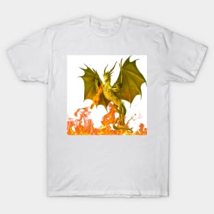 Fire-breathing dragon T-Shirt